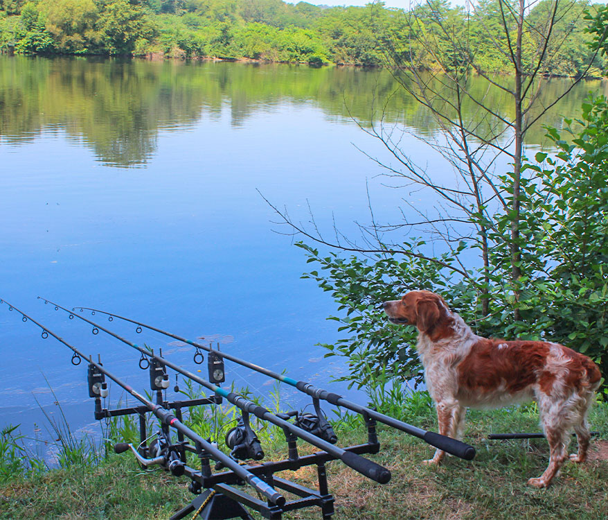 camping peche dordogne