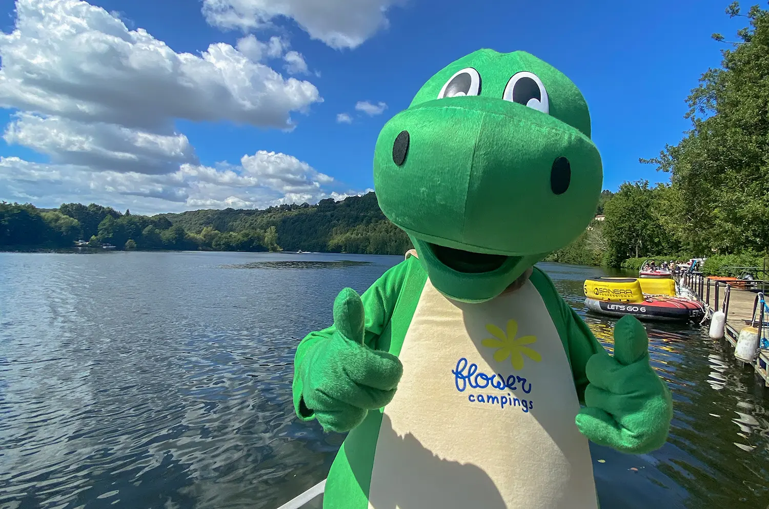 Dino Flower campings